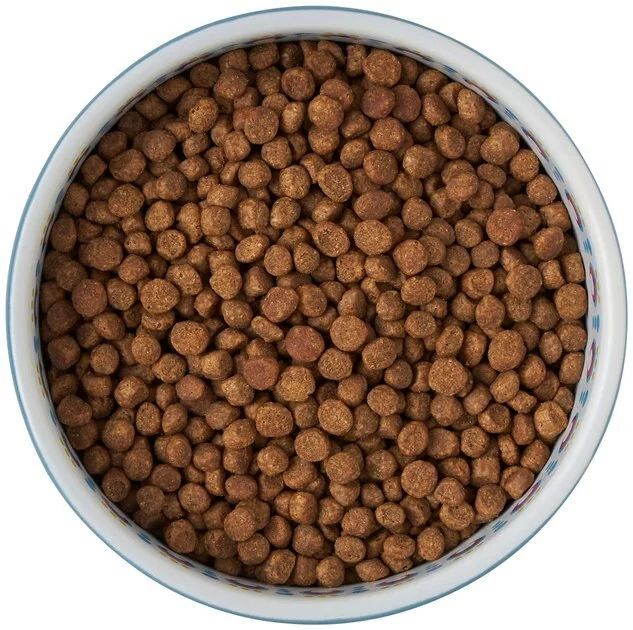 Frisco Kaleidoscope Pattern Non-skid Ceramic Cat Dish, Blue, 1.62 Cups 8 Frisco Kaleidoscope Pattern Non-skid Ceramic Cat Dish, Blue, 1.62 Cups - Image 6