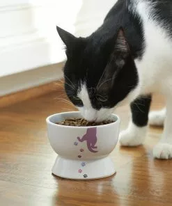 Frisco Cat Print Non-skid Elevated Ceramic Cat Bowl, Short, 1.0 Cup -Dog Cat Corner 256096 PT2. SY630 V1616522571