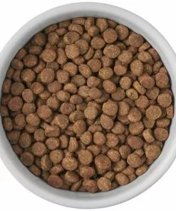 Frisco Cat Print Non-skid Elevated Ceramic Cat Bowl, Short, 1.0 Cup -Dog Cat Corner 256096 PT4. SY630 V1616522576