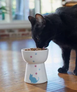 Frisco Cat Print Non-skid Elevated Ceramic Cat Bowl, Tall -Dog Cat Corner 256098 PT2. SY630 V1616522547