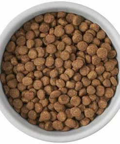 Frisco Cat Print Non-skid Elevated Ceramic Cat Bowl, Tall -Dog Cat Corner 256098 PT4. SY630 V1616522549