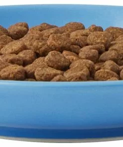 Frisco Cat Face Non-skid Ceramic Cat Dish, Blue, 0.50 Cup -Dog Cat Corner 256101 PT4. SY630 V1617130592