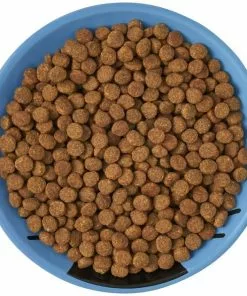 Frisco Cat Face Non-skid Ceramic Cat Dish, Blue, 0.50 Cup -Dog Cat Corner 256101 PT5. SY630 V1615321282