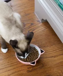 Frisco Cat Face Non-skid Ceramic Cat Bowl, Pink, 1.12 Cups -Dog Cat Corner 256107 PT2. SY630 V1616522589