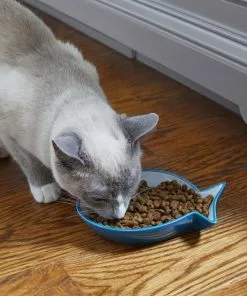 Frisco Fish Shaped Non-skid Ceramic Cat Dish, 0.62 Cups -Dog Cat Corner 256109 PT3. SY630 V1617196297
