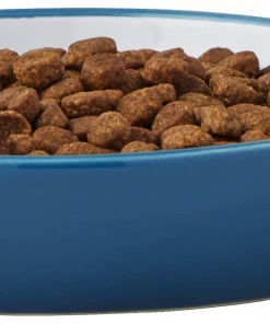 Frisco Fish Shaped Non-skid Ceramic Cat Dish, 0.62 Cups -Dog Cat Corner 256109 PT4. SY630 V1617196291