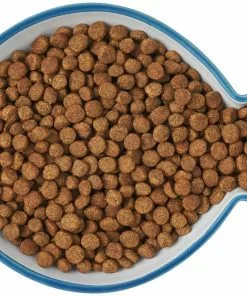 Frisco Fish Shaped Non-skid Ceramic Cat Dish, 0.62 Cups -Dog Cat Corner 256109 PT6. SY630 V1617196895