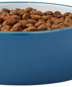 Frisco Fish Shaped Non-skid Ceramic Cat Bowl, 1.37 Cups 12 Frisco Fish Shaped Non-skid Ceramic Cat Bowl, 1.37 Cups -Dog Cat Corner 256111 PT3. SY630 V1616522602