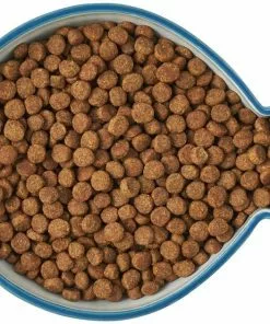 Frisco Fish Shaped Non-skid Ceramic Cat Bowl, 1.37 Cups 14 Frisco Fish Shaped Non-skid Ceramic Cat Bowl, 1.37 Cups -Dog Cat Corner 256111 PT5. SY630 V1616522555