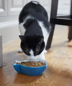 Frisco Fish Shaped Non-skid Ceramic Cat Bowl, 1.37 Cups 15 Frisco Fish Shaped Non-skid Ceramic Cat Bowl, 1.37 Cups -Dog Cat Corner 256111 PT6. SY630 V1617037703