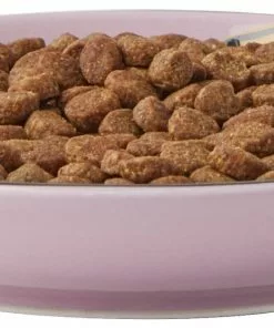 Frisco Paris Non-skid Ceramic Cat Dish, 0.62 Cup -Dog Cat Corner 256115 PT5. SY630 V1618494743