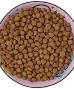 Frisco Paris Non-skid Ceramic Cat Dish, 0.62 Cup -Dog Cat Corner 256115 PT6. SY630 V1617196908