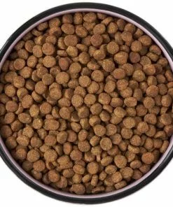 Frisco Paris Non-skid Ceramic Cat Dish, 1.62 Cup -Dog Cat Corner 256117 PT5. SY630 V1615311392