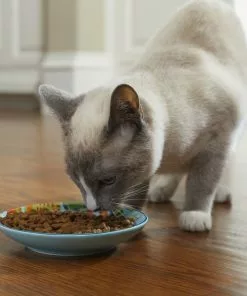 Frisco New York Non-skid Ceramic Cat Dish, 0.62 Cup 13 Frisco New York Non-skid Ceramic Cat Dish, 0.62 Cup -Dog Cat Corner 256119 PT4. SY630 V1618494708