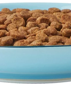 Frisco New York Non-skid Ceramic Cat Dish, 0.62 Cup 14 Frisco New York Non-skid Ceramic Cat Dish, 0.62 Cup -Dog Cat Corner 256119 PT5. SY630 V1618494742