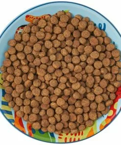 Frisco New York Non-skid Ceramic Cat Dish, 0.62 Cup 15 Frisco New York Non-skid Ceramic Cat Dish, 0.62 Cup -Dog Cat Corner 256119 PT6. SY630 V1617196905