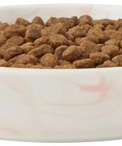 Frisco Marble Design Non-skid Ceramic Cat Bowl, 1.25 Cups -Dog Cat Corner 256125 PT3. SY630 V1615312690