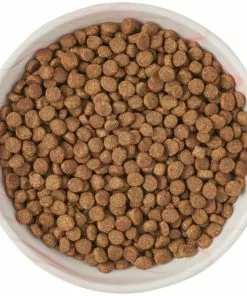 Frisco Marble Design Non-skid Ceramic Cat Dish, 0.75 Cup -Dog Cat Corner 256127 PT5. SY630 V1615321285