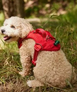 Frisco Outdoor Premium Ripstop Nylon Dog Harness with Pocket -Dog Cat Corner 256481 PT5. SY630 V1625589623