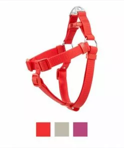 Frisco Outdoor Solid Textured Waterproof Stink Proof PVC Dog Harness