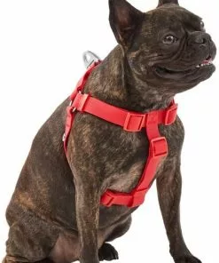 Frisco Outdoor Solid Textured Waterproof Stink Proof PVC Dog Harness -Dog Cat Corner 256518 PT2. SY630 V1625164704