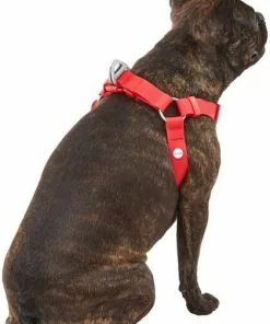 Frisco Outdoor Solid Textured Waterproof Stink Proof PVC Dog Harness -Dog Cat Corner 256518 PT3. SY630 V1625164999