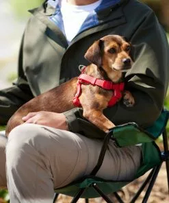 Frisco Outdoor Solid Textured Waterproof Stink Proof PVC Dog Harness -Dog Cat Corner 256518 PT5. SY630 V1625587387