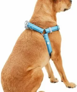 Frisco Outdoor Two Tone Waterproof Stinkproof PVC Dog Harness 10 Frisco Outdoor Two Tone Waterproof Stinkproof PVC Dog Harness -Dog Cat Corner 256565 PT3. SY630 V1625164653