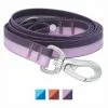 Frisco Outdoor Two Toned Waterproof Stink Proof PVC Dog Leash -Dog Cat Corner 256607 MAIN. SY630 V1626892880