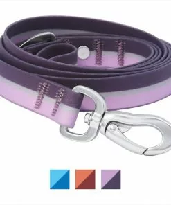 Frisco Outdoor Two Toned Waterproof Stink Proof PVC Dog Leash