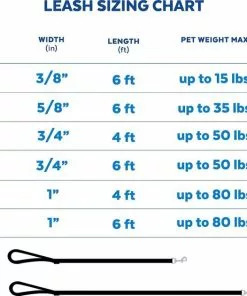 Frisco Outdoor Two Toned Waterproof Stink Proof PVC Dog Leash -Dog Cat Corner 256607 PT6. SY630 V1630005752