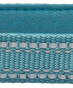 Frisco Outdoor Nylon Reflective Comfort Padded Dog Collar -Dog Cat Corner 256658 PT2. SY630 V1625158075