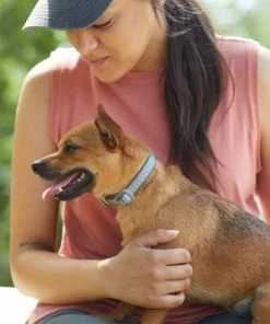 Frisco Outdoor Comfort Print Nylon Padded Dog Collar 10 Frisco Outdoor Comfort Print Nylon Padded Dog Collar -Dog Cat Corner 256713 PT5. SY630 V1625587063