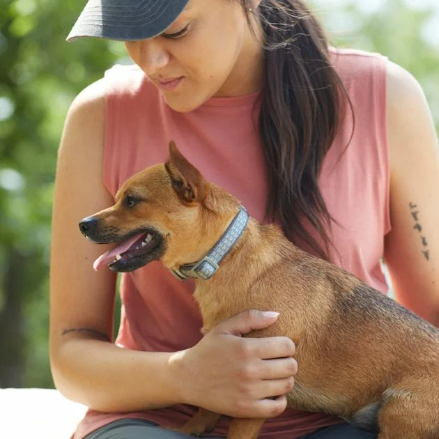 Frisco Outdoor Comfort Print Nylon Padded Dog Collar 6 Frisco Outdoor Comfort Print Nylon Padded Dog Collar - Image 4