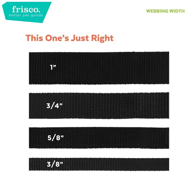 Frisco Outdoor Comfort Print Nylon Padded Dog Collar 7 Frisco Outdoor Comfort Print Nylon Padded Dog Collar - Image 5