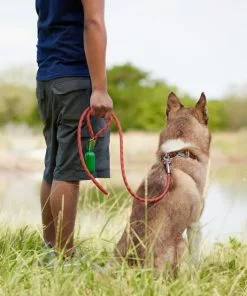 Frisco Outdoor Waterproof Stinkproof PVC Rope Leash -Dog Cat Corner 256760 PT5. SY630 V1625587621