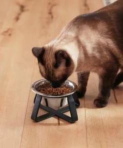 Frisco Iron Stand Dog & Cat Single Bowl Diner 16 Frisco Iron Stand Dog & Cat Single Bowl Diner -Dog Cat Corner 257150 PT7. SY630 V1615989141