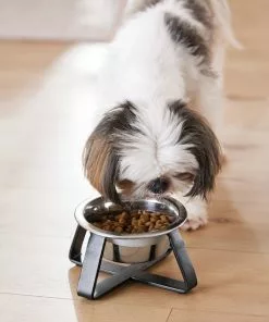 Frisco Iron Stand Dog & Cat Single Bowl Diner 17 Frisco Iron Stand Dog & Cat Single Bowl Diner -Dog Cat Corner 257150 PT8. SY630 V1615840519