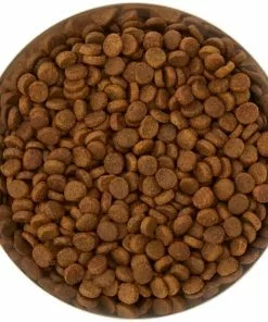 Frisco Flare Dog & Cat Bowl 13 Frisco Flare Dog & Cat Bowl -Dog Cat Corner 257162 PT4. SY630 V1612366692