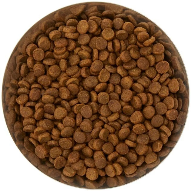 Frisco Flare Dog & Cat Bowl 6 Frisco Flare Dog & Cat Bowl - Image 4