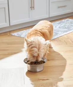 Frisco Flare Dog & Cat Bowl 17 Frisco Flare Dog & Cat Bowl -Dog Cat Corner 257162 PT8. SY630 V1615840471