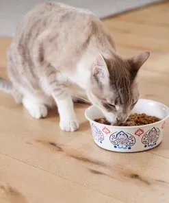 Frisco Bohemian Dog & Cat Bowl -Dog Cat Corner 257195 PT7. SY630 V1615989147