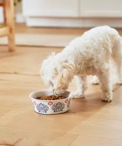 Frisco Bohemian Dog & Cat Bowl -Dog Cat Corner 257195 PT8. SY630 V1615932115