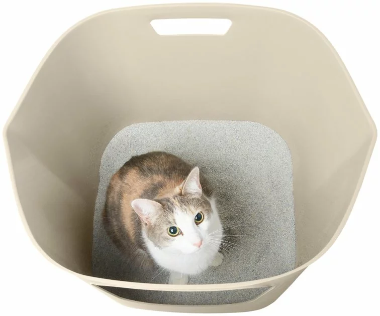 Frisco Leaf High-Sided Cat Litter Box, Large 5 Frisco Leaf High-Sided Cat Litter Box, Large - Image 3