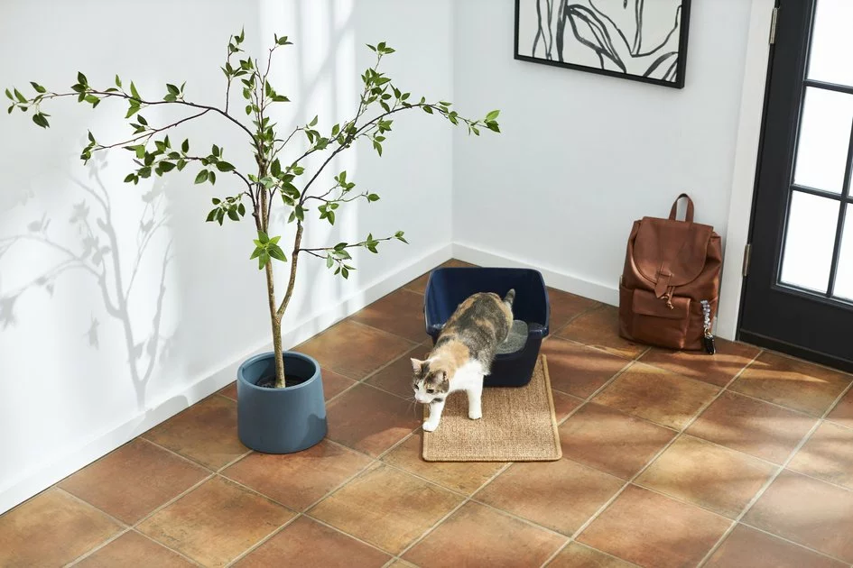 Frisco Sisal Mat 6 Frisco Sisal Mat - Image 4