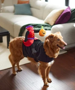 Frisco Headless Rider Dog & Cat Costume -Dog Cat Corner 260910 PT8. SY630 V1624461040