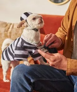 Frisco Prisoner Dog & Cat Costume -Dog Cat Corner 260931 PT8. SY630 V1624400474