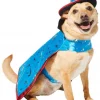 Frisco Wizard Dog & Cat Costume