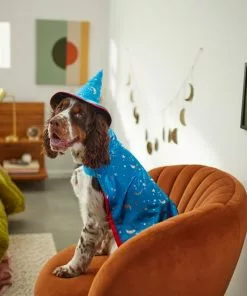 Frisco Wizard Dog & Cat Costume -Dog Cat Corner 260962 PT8. SY630 V1624335469