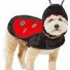 Frisco Ladybug Dog & Cat Costume 2 Frisco Ladybug Dog & Cat Costume -Dog Cat Corner 260971 MAIN. SY630 V1624398246